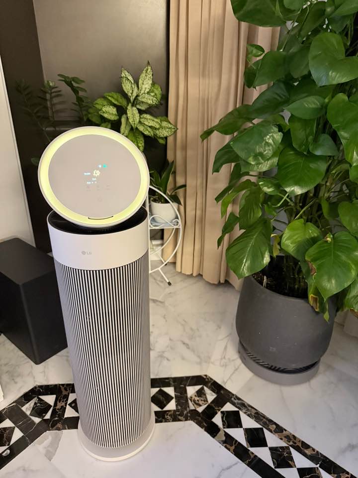 LG AeroBooster Air Purifier installed beside plants in a living room