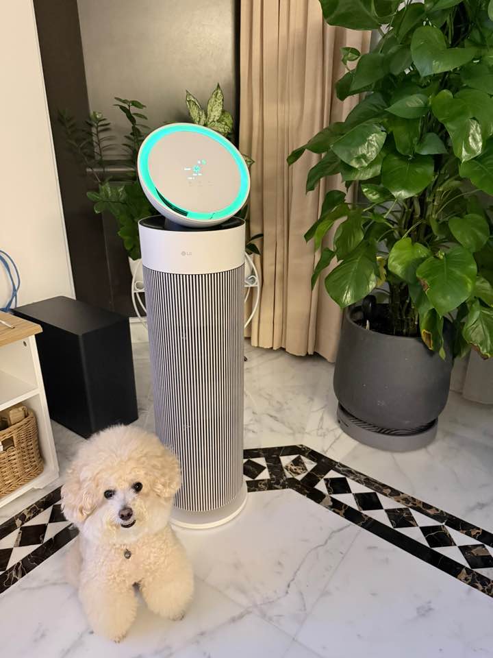 LG AeroBooster Pet Version Air Purifier in a home with a dog